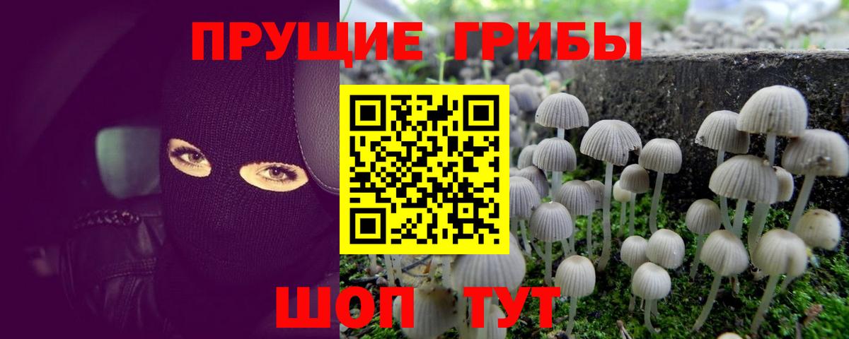 Махачкала  Галлюциногенные грибы Psilocybine cubensis  Галлюциногенные грибы ЛСД  Вход с VPN 